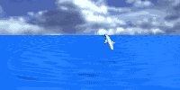 dolphin_jump_md_wht.gif