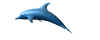 dolphin_swim_md_wht.gif