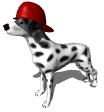 firedog_hat_md_wht.gif