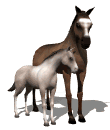 horse_and_foal_md_wht.gif