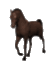 horse_walk_md_wht.gif