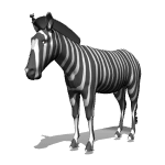 zebra_fly_md_wht.gif