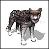jaguar_looking_md_wht.gif