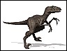 raptor_walk_md_wht.gif
