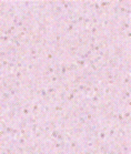 back002.gif