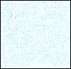 back015.gif