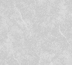 bg.gif