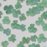 clover.jpg