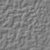 gray_stu.gif