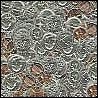 coins.jpg
