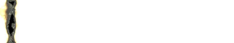 burntedge.gif