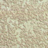 back0037.jpg
