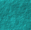 back0082.jpg