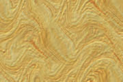 back0101.jpg