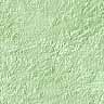 bkgreen1.jpg