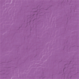 5.gif