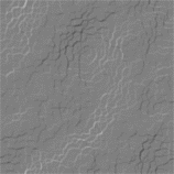 6.gif