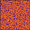 31.gif