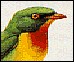 z13.gif
