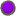 purp_pulse_md_wht.gif