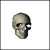 animskull22.gif