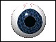 eyeball.gif