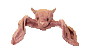 BATTY.GIF