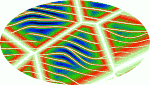 l5.gif